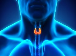 Hypothyroidism ( Underactive Thyroid )